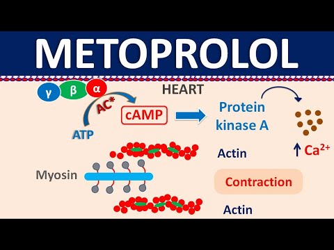 Metoprolol - Mechanism, side effects, precautions & uses