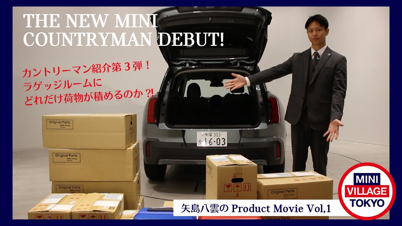 COUNTRYMAN カントリーマン B3 オムニラベリアマイク – 2本セット COUNTRYMAN ( カントリーマン ) B3 Shure Wireless BK TA4F ワイヤレス