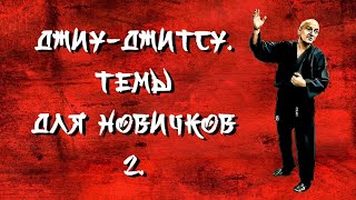 Джиу-джитсу. Темы для новичков 2.