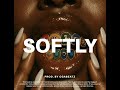 "Softly" – Omah Lay x Ayra Starr Type Beat | Chill Afro Pop Instrumental