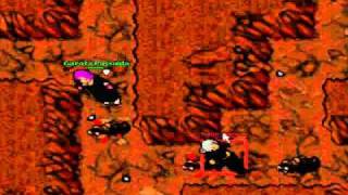Tibia-Matando bot