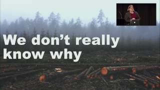 Codemania 2016: Sarah Mei