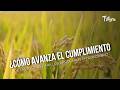 ¿Cómo avanza el cumplimiento de las ayudas para los arroceros - TvAgro por Juan Gonzalo Angel