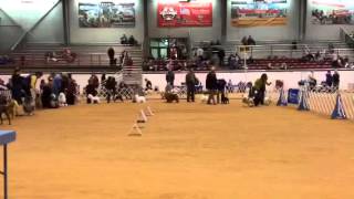 Group Ring, 1/9/16, pt. 3