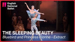 The Sleeping Beauty: Bluebird and Princess Florine (extract)  | English National Ballet