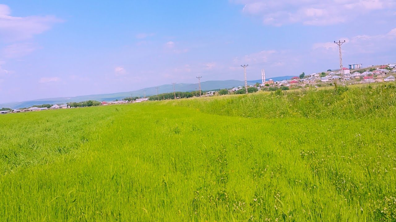 Bılurvan Elî yê Kopala -  Beşa duem . banda Tûfan aydin