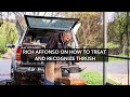 Rich Affonso on How to Recognize and Treat Thrush