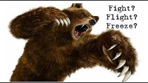 De-escalating Youth Impacted by Trauma