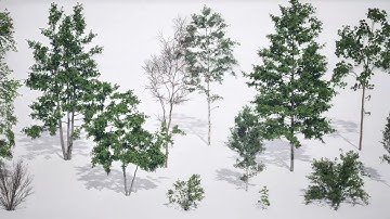 Quixel Megaplants in UE 5 7   Full Workflow Tutorial for PVE Procedural Vegetation Editor