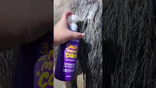 tail wash day#asmr #bathtime #hairday #fyp #horses