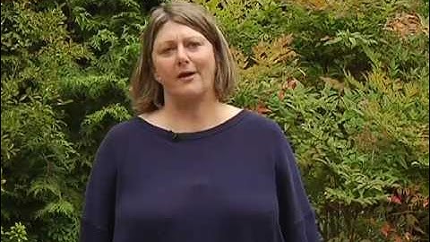 PRUNING, Part 3 of 6 - How to Prune Treelike Shrubs - Plant Amnesty