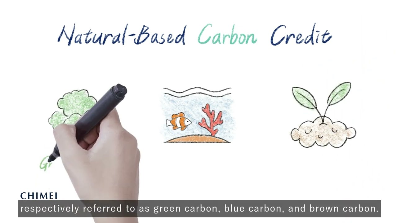 Introduction to Carbon Credit: Driving Emissions Down