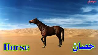 أصوات الحيوانات وأسماؤها بالعربي والإنجليزي للأطفال-The names and sounds of animals for children screenshot 1