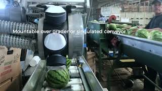 On-Line fruit labeling solution: Sinclair Large Label V6