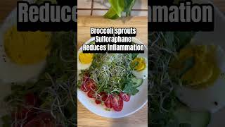 Broccoli Sprouts = Brain Repair #shorts #nutritiontips #sprouts #brainhealth #healthyfood #brain