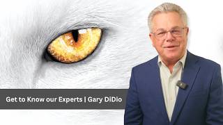 Get to know our experts | Gary DiDio — +25 years at the forefront of glass inspection