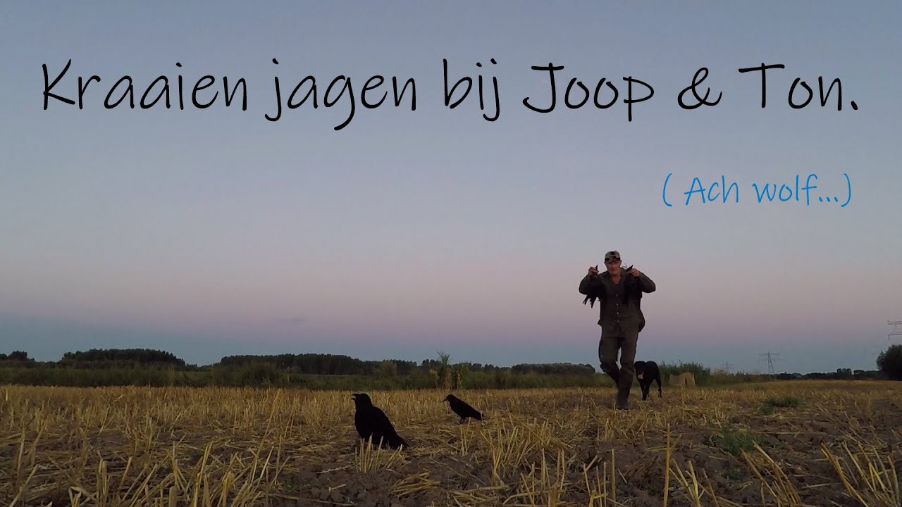 Jagen Kraaien jagen bij Joop & Ton. YouTube
