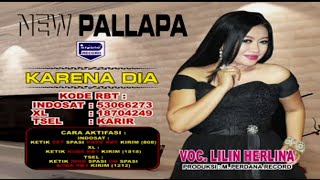 Lilin Herlina - Karena Dia (VCD KARAOKE)