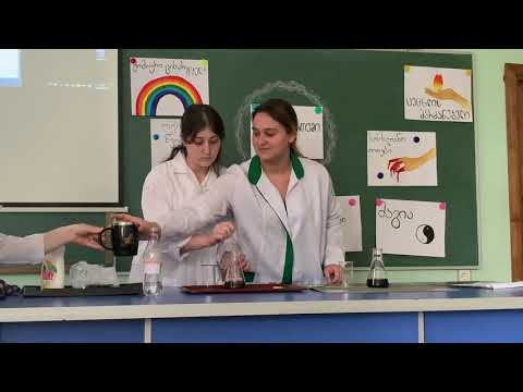 სპილოს ხორთუმი