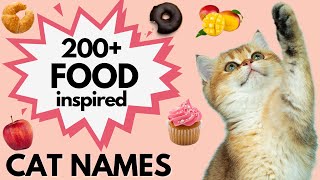 200+ FOOD Inspired CAT Names sure to make you DROOL! | Boy and Girl Cat Names