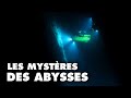 Les mystres des abysses les derniers continents  explorer