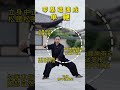 陈氏太极拳单鞭动作要领 #太极拳 #太极拳教学 #7天学会1套太极拳 #太极拳精编七式 #豫记