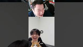 AHOF (아홉) Park Hani's Cat "COOKIE" | Moocowsauce Reacts #kpop #ahof