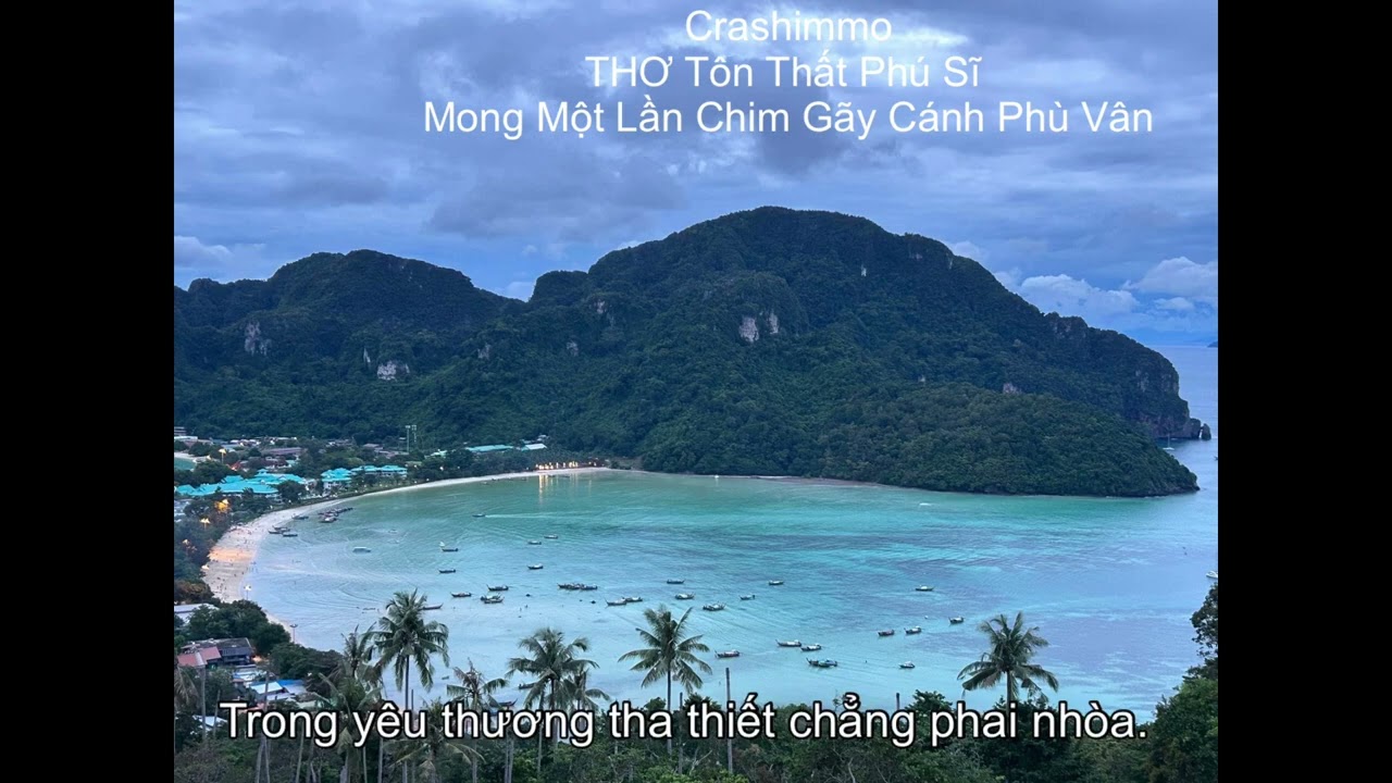 🌸 Nhạc Trữ Tình 2026 – Thơ Tôn Thất Phú Sĩ | Mong Một Lần Chim Gãy Cánh Phù Du