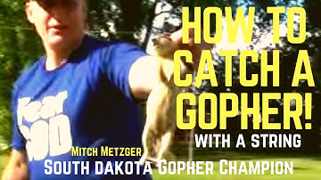 HOW TO CATCH A GOPHER IN 8 EASY STEPS USING ONLY STRING!