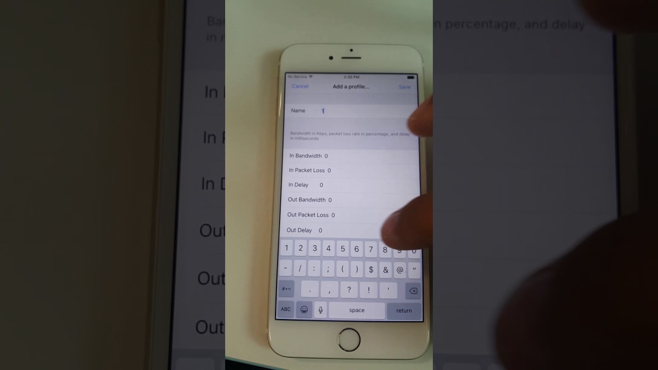 Network link conditioner