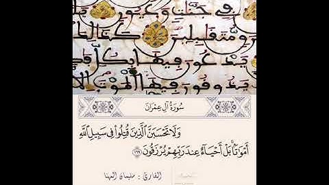 ٰ 📖 { ماتيسّر من سورة آل عمران ....} 🌿   💭   القارئ : سليمان المهنا عافاه الله • • • ❉