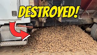 Planting Season COMPLETE! Chaos on the Final Day