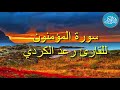 سورة المؤمنون بصوت القارئ رعد الكردي سورة المؤمنون بصوت القارئ رعد الكردي