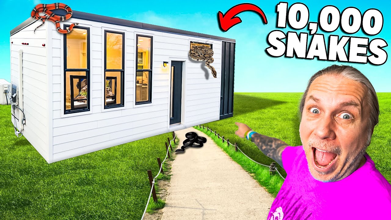 10,000 Snakes in A Tiny House