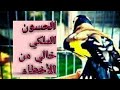 تغريد حسون الملكي ساعة كاملة روعة نوطات مفقودةchante chardonneret merveilleux