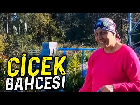 Video: Dominique Sachse Net Değeri: Wiki, Evli, Aile, Düğün, Maaş, Kardeşler