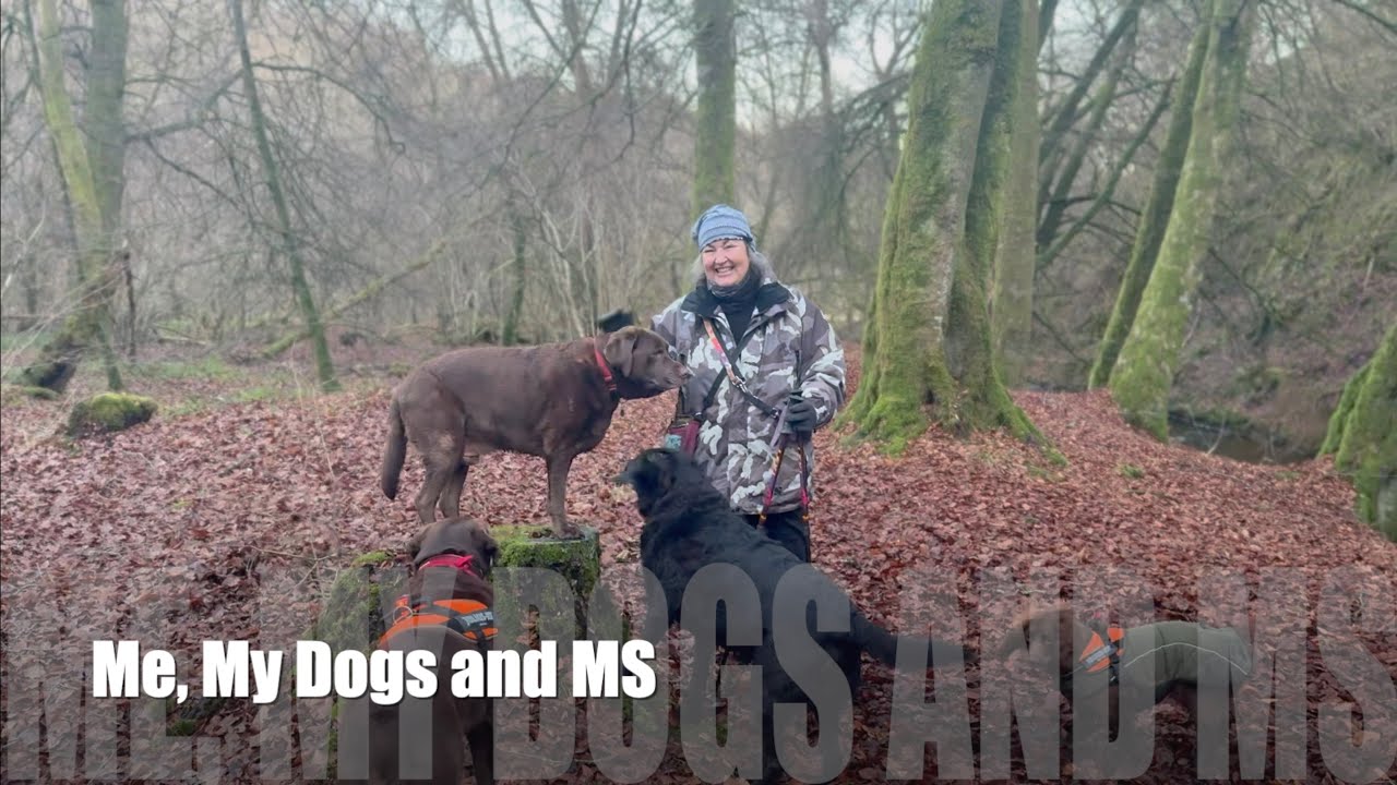 What MS Has Taught Me | A Winter Walk With the Dogs  Episode 32