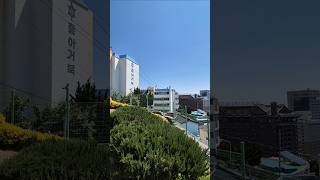 오름소공원 영상