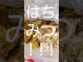 「松江城」の倒木取材をしていた記者がまさかの事態！取材内容が180度変わった「アレ」とは！？！？