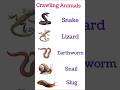 Crawling animals names | snake |  Lizard| earthworm| snail | slug|  #educationalvideo #kidslearning