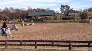 2015 Working Hunter Flat (catch ride)