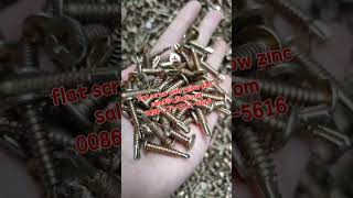 1  Grace Yang screw sale9@tjlituo com 0086 177 2012 5616
