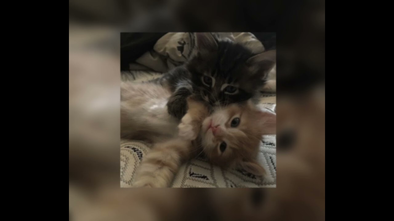 ~ПЛЕЙЛИСТ ТВОЕГО ДЕТСТВА~ (версия medium)