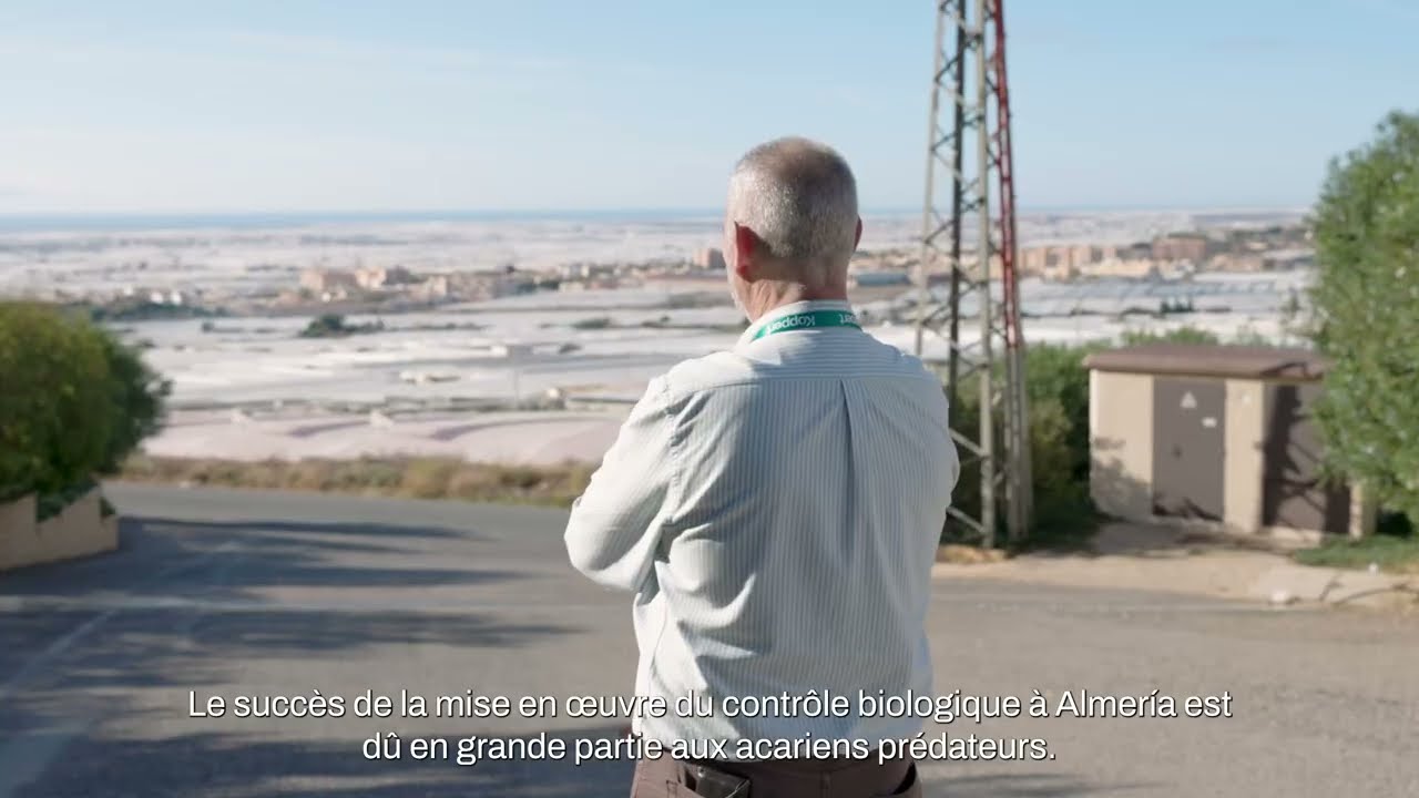 L"histoire originale de Jose Eduardo Belda - Koppert Espagne