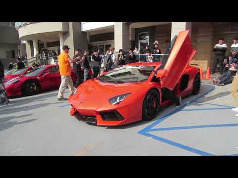 custom-lamborghini-aventador-rev-sounds