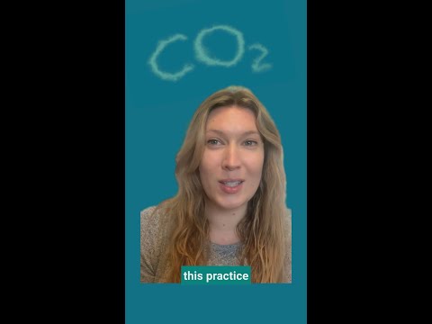 Let's Talk About Methane: Flaring