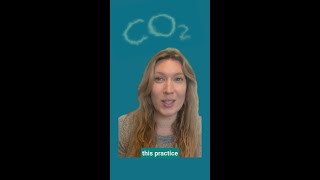 Let's Talk About Methane: Flaring
