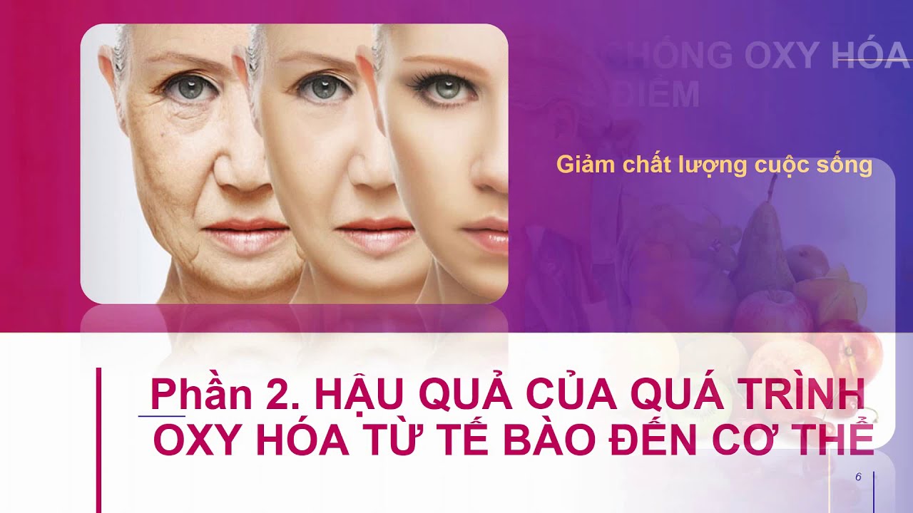 trực tiếp bóng đá hôm nay 29 12 - Khám Phá Thế Giới Cờ Bạc Trực Tuyến An Toàn và Uy Tín