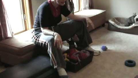 Teaching Humbug to Clean Up, Part 1
