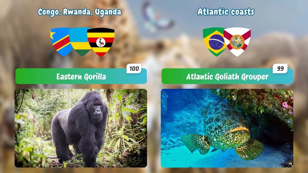 Top 5 Genius Hacks to Discover Rare Animals in 2025